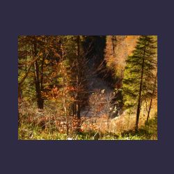 2012-10-20_Fall_AQUILA (072).JPG